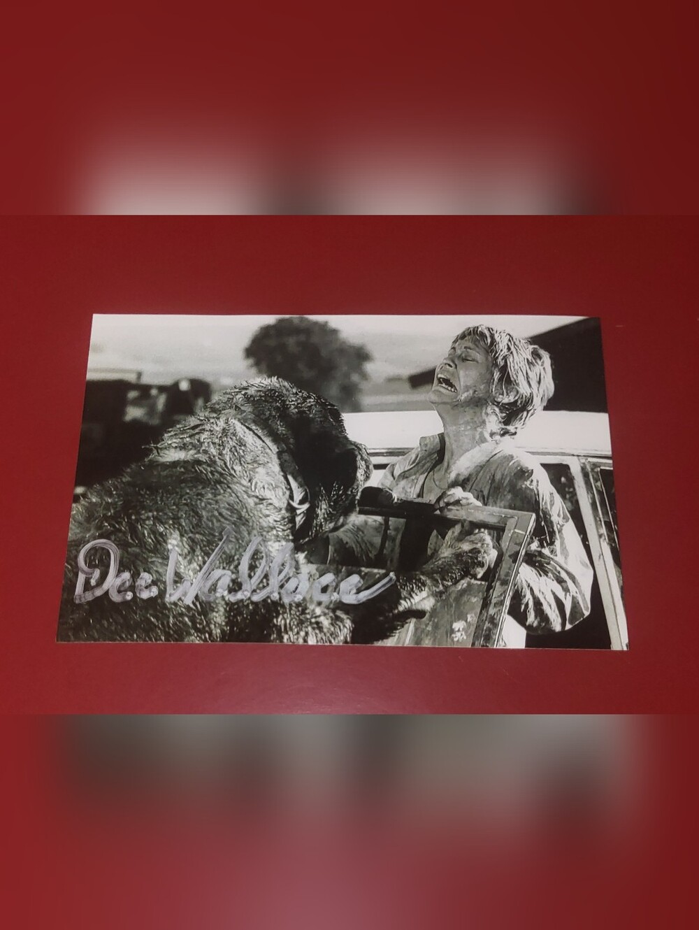 Dee Wallace Cujo Hand Signed 4x6 AutographBuyer will receive the signed photo A